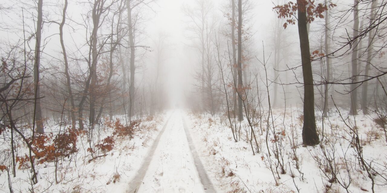 Téli túra Magyarországon: az erdőben akkor is van hó, ha máshol nem
