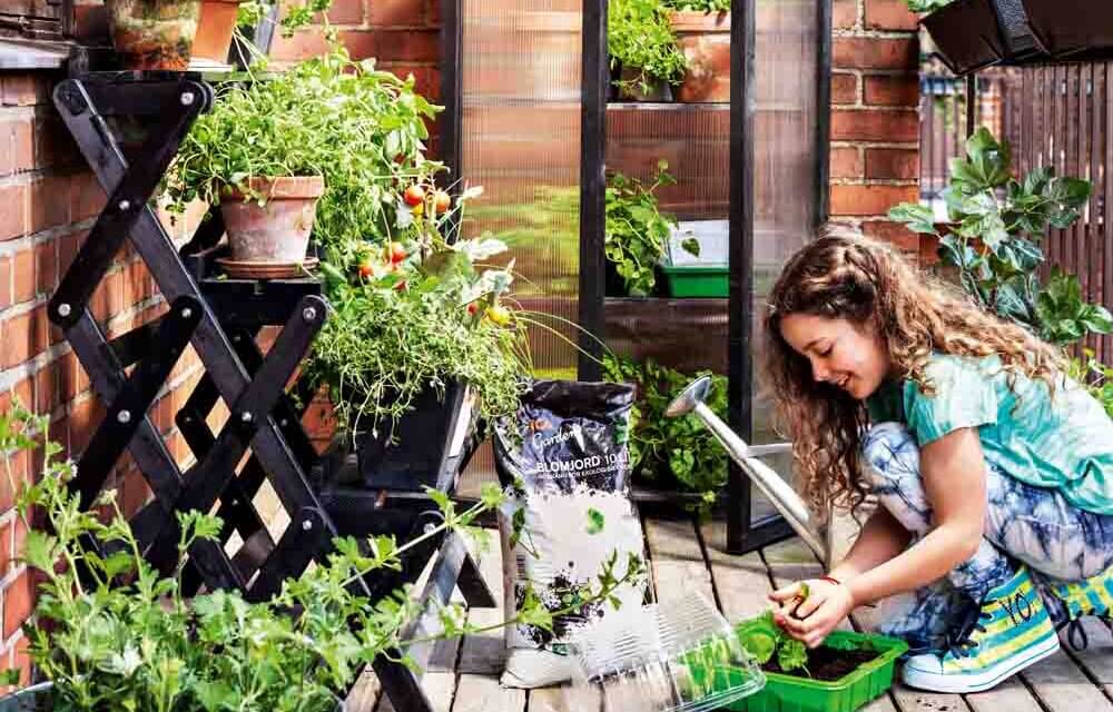 Lagom zöldítés: Környezetbarát kert, terasz, erkély