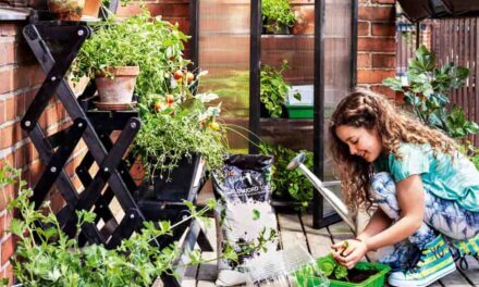 Lagom zöldítés: Környezetbarát kert, terasz, erkély